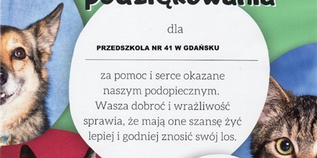 Powiększ grafikę: koniec-zbiorki-dla-gdanskiego-schroniska-promyk-389884.jpg